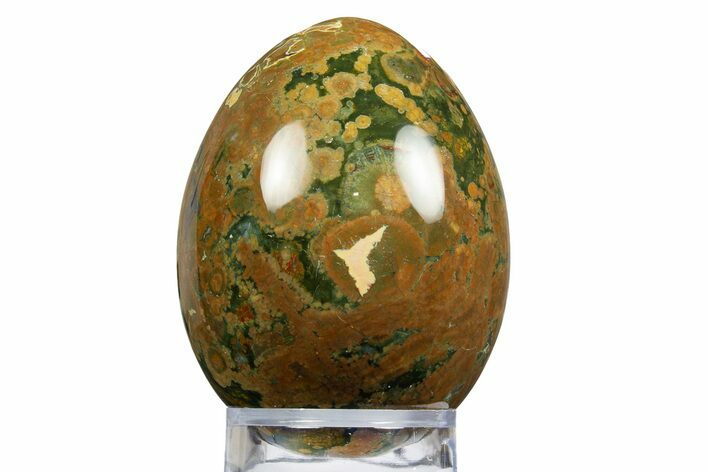 Polished Rainforest Jasper (Rhyolite) Egg - Australia #312718